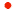 registriere .jp domain